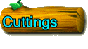 Cuttings