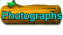 Photographs